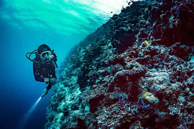 Ordenador de buceo Suunto EON Core blanco con pantalla a color y números grandes Ordenador de buceo Suunto EON Core blanco con pantalla a color y números grandes