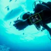 Ordenador de buceo Suunto EON Core blanco con pantalla a color y números grandes Ordenador de buceo Suunto EON Core blanco con pantalla a color y números grandes