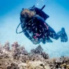 Suunto Zoop Novo Blue: ordenador de buceo fácil de usar con pantalla grande