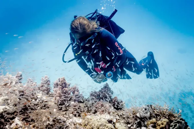 Suunto Zoop Novo Blue: ordenador de buceo fácil de usar con pantalla grande