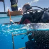 Suunto Zoop Novo Blue: ordenador de buceo fácil de usar con pantalla grande