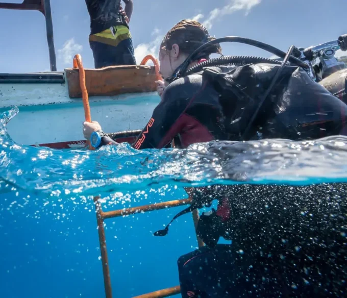 Suunto Zoop Novo Blue: ordenador de buceo fácil de usar con pantalla grande